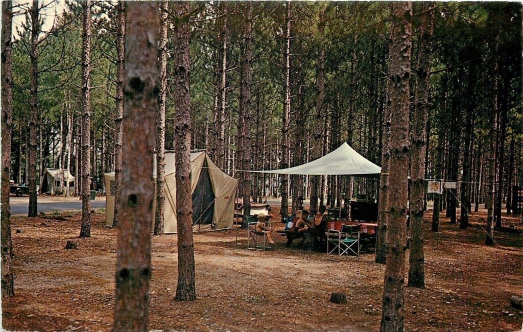 Campground in a pine forest with beige tents and a white canopy over a seating area.