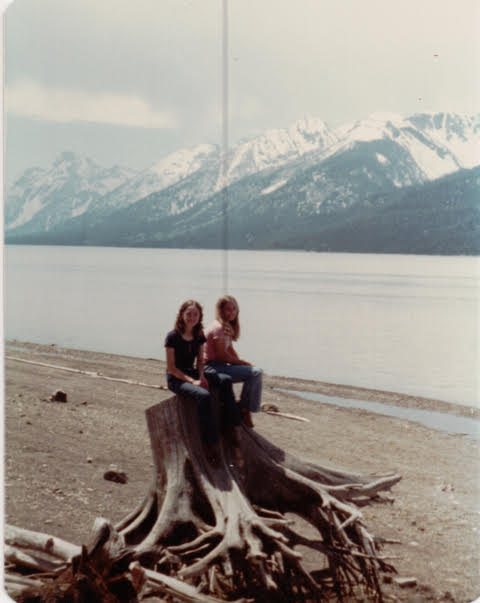 Two people sit together on a large weathered tree stump at a lakeside, with snow-capped mountains in the distance and a calm shoreline behind them.