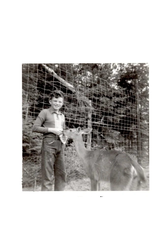 Boy in a striped shirt feeds a deer at a wire fence in a rural setting (black-and-white photo).